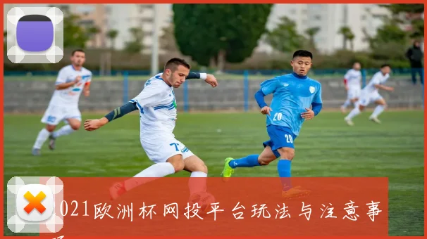 2021欧洲杯网投平台玩法与注意事项