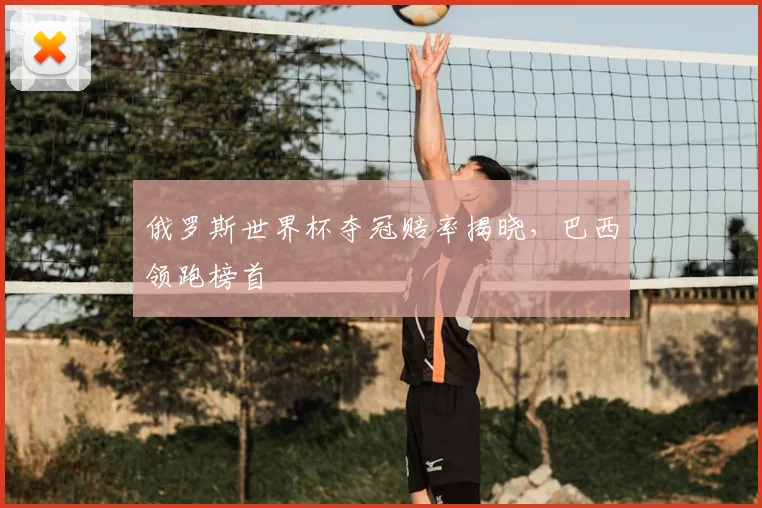 俄罗斯世界杯夺冠赔率揭晓,巴西领跑榜首