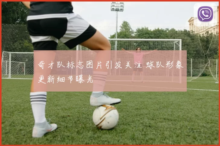 奇才队标志图片引发关注 球队形象更新细节曝光