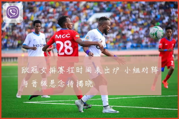 欧冠女排赛程时间表出炉 小组对阵与晋级悬念待揭晓