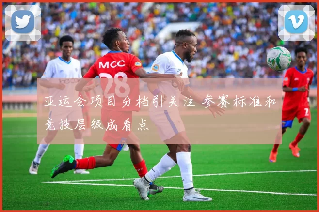 亚运会项目分档引关注 参赛标准和竞技层级成看点