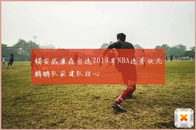 锡安威廉森当选2019年NBA选秀状元鹈鹕队获建队核心