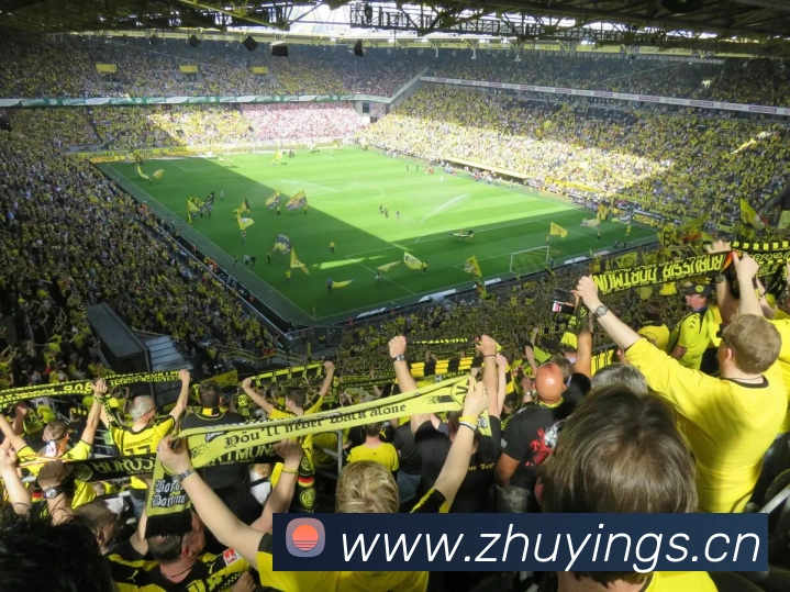 数据防护可视化